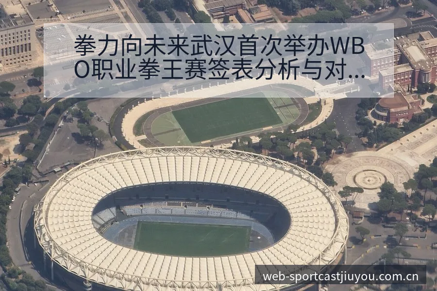 拳力向未来武汉首次举办WBO职业拳王赛签表分析与对阵路径 - 九游体育APP
